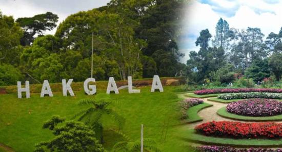 තාවකාලිකව වැසූ හක්ගල උද්‍යානය අද සිට විවෘතයි